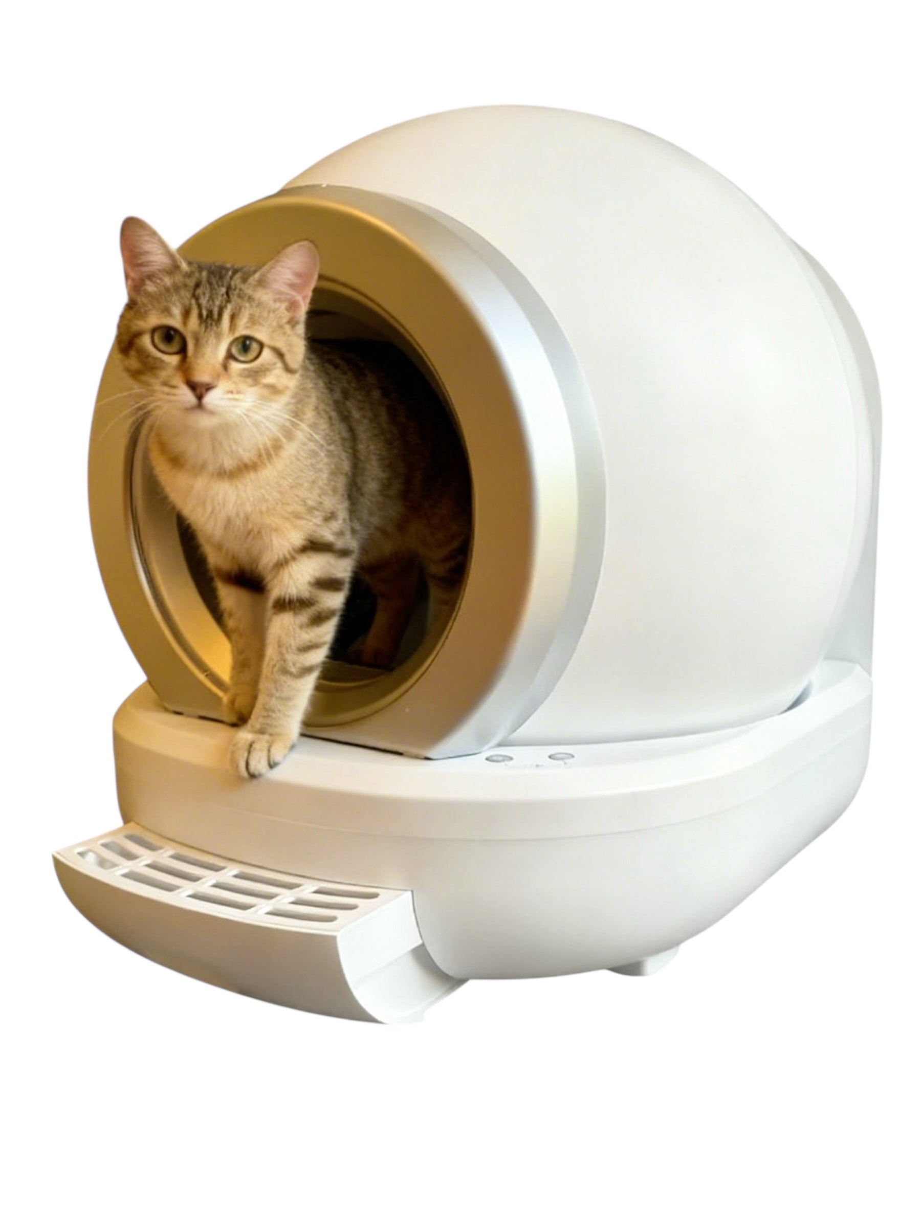 Selbstreinigende Katzentoilette mit App